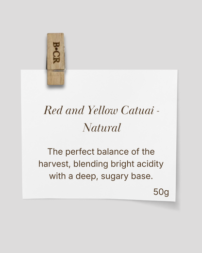 The Chromatic Collection