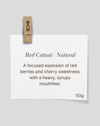 The Chromatic Collection