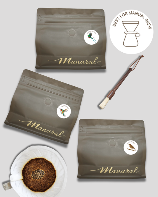 Essentials Filter Coffees - Free Shipping - Wood Brush on your first order