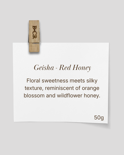 The Geisha Anthology