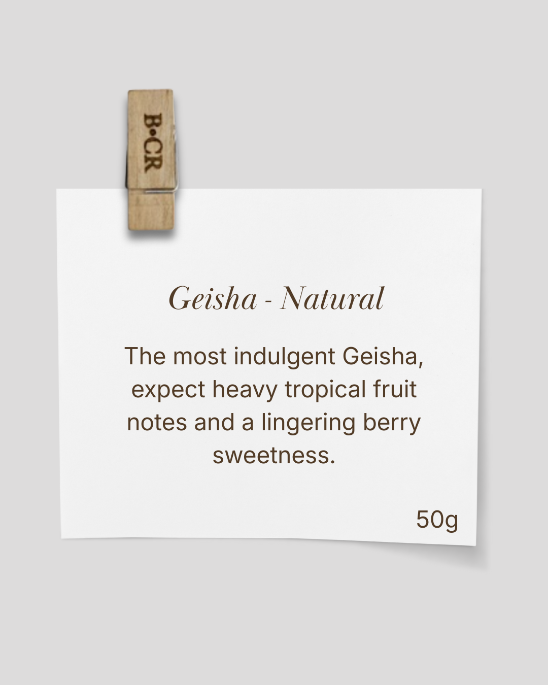 The Geisha Anthology