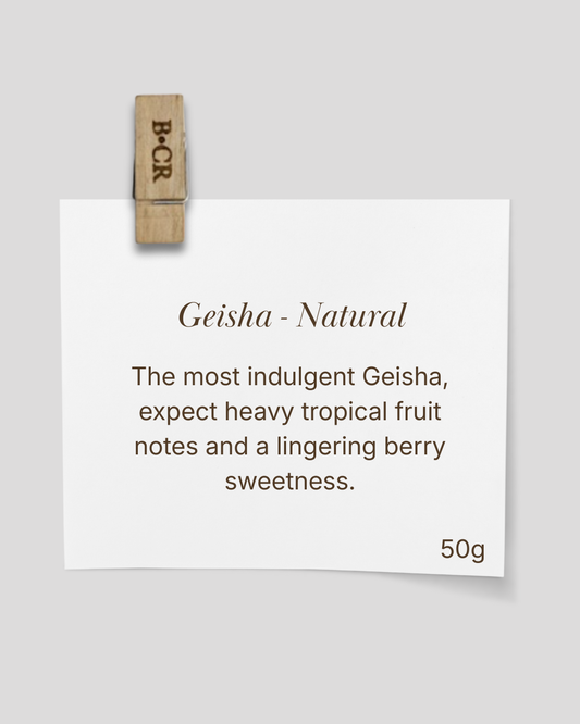 The Geisha Anthology