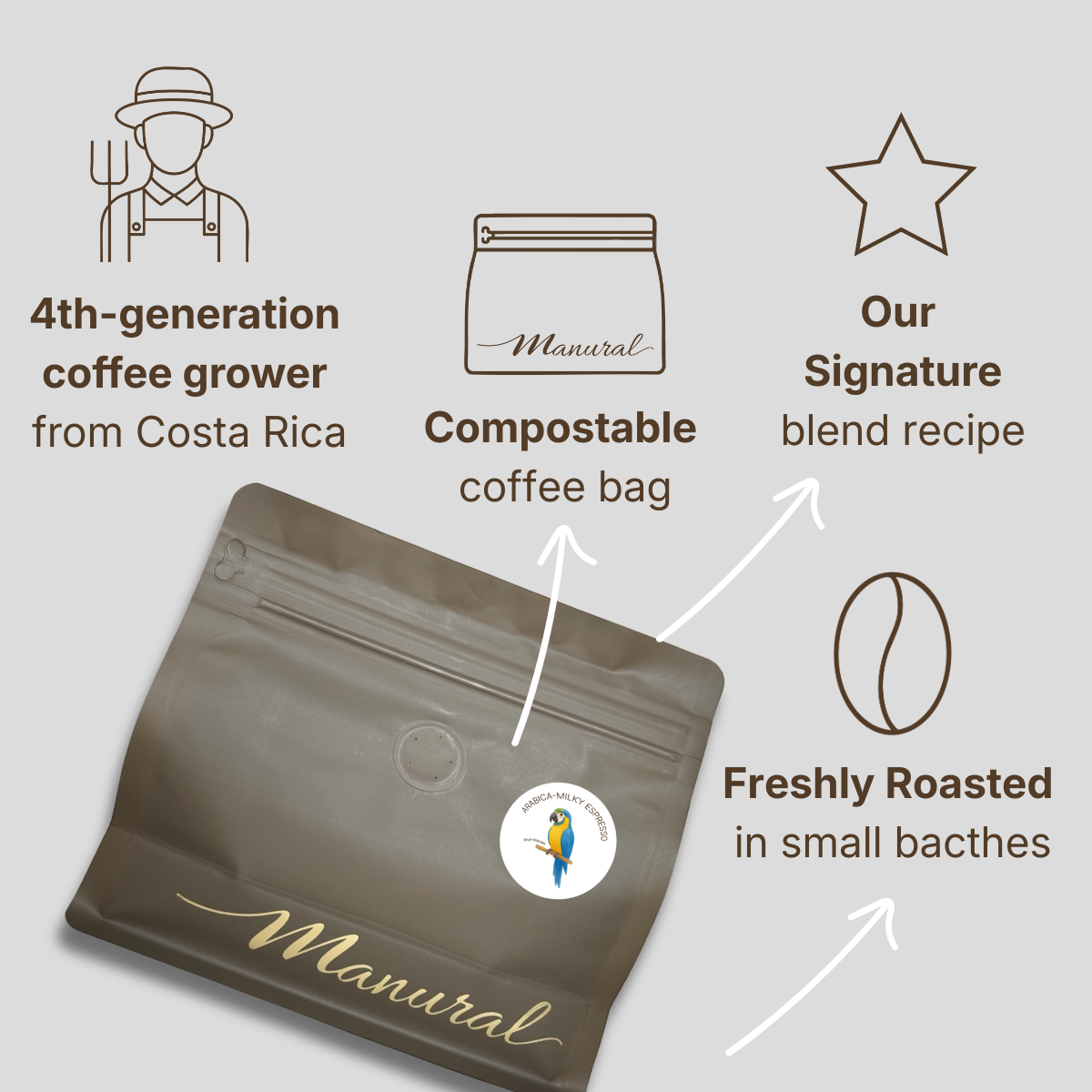 Arabica Milky Espresso - Brazil & CR Blend