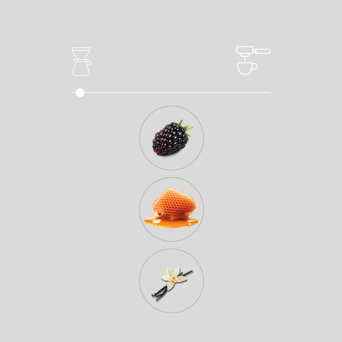 Milenio Wildberry