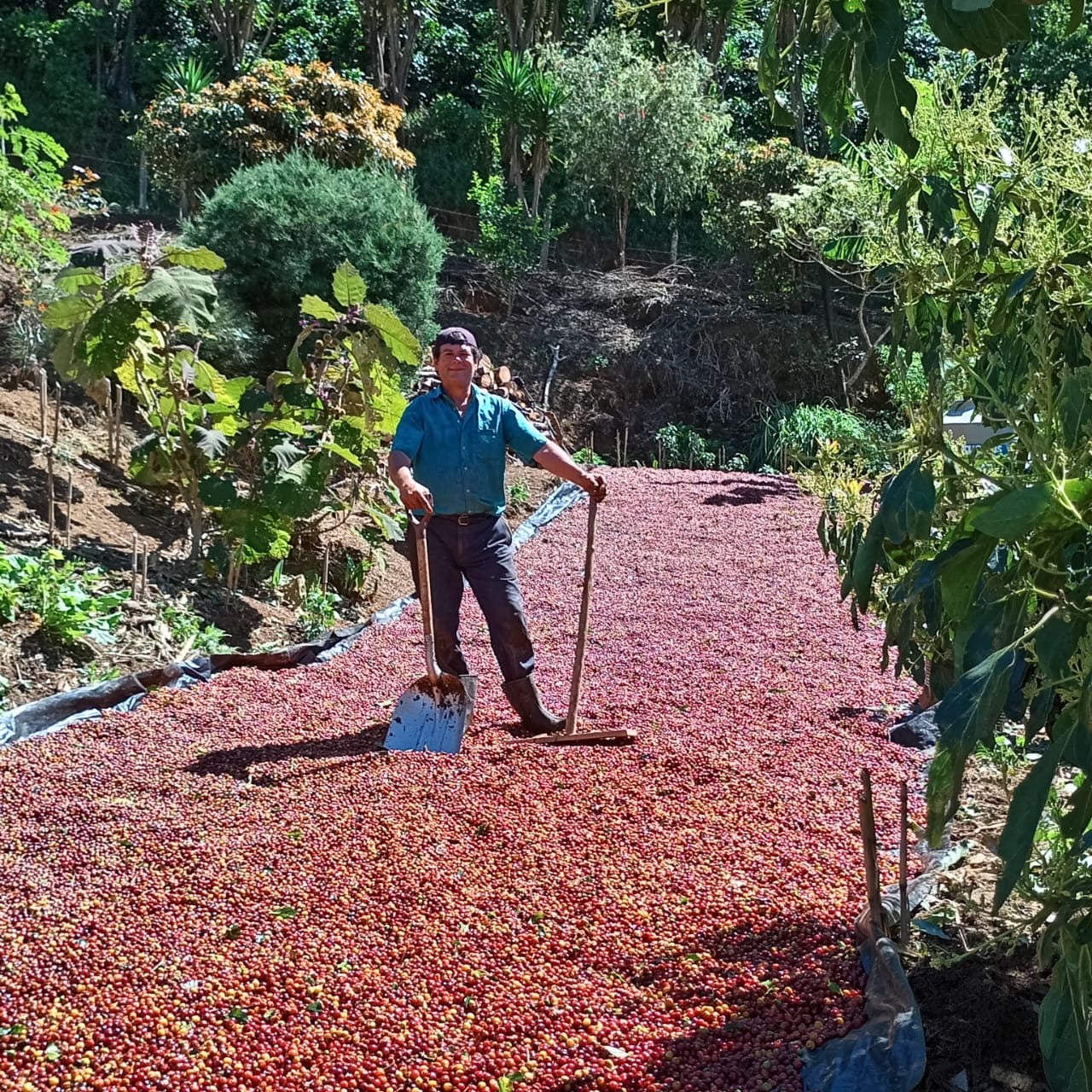 Berry Velvet - CR Supernatural