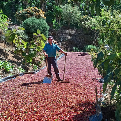 Berry Velvet - CR Supernatural