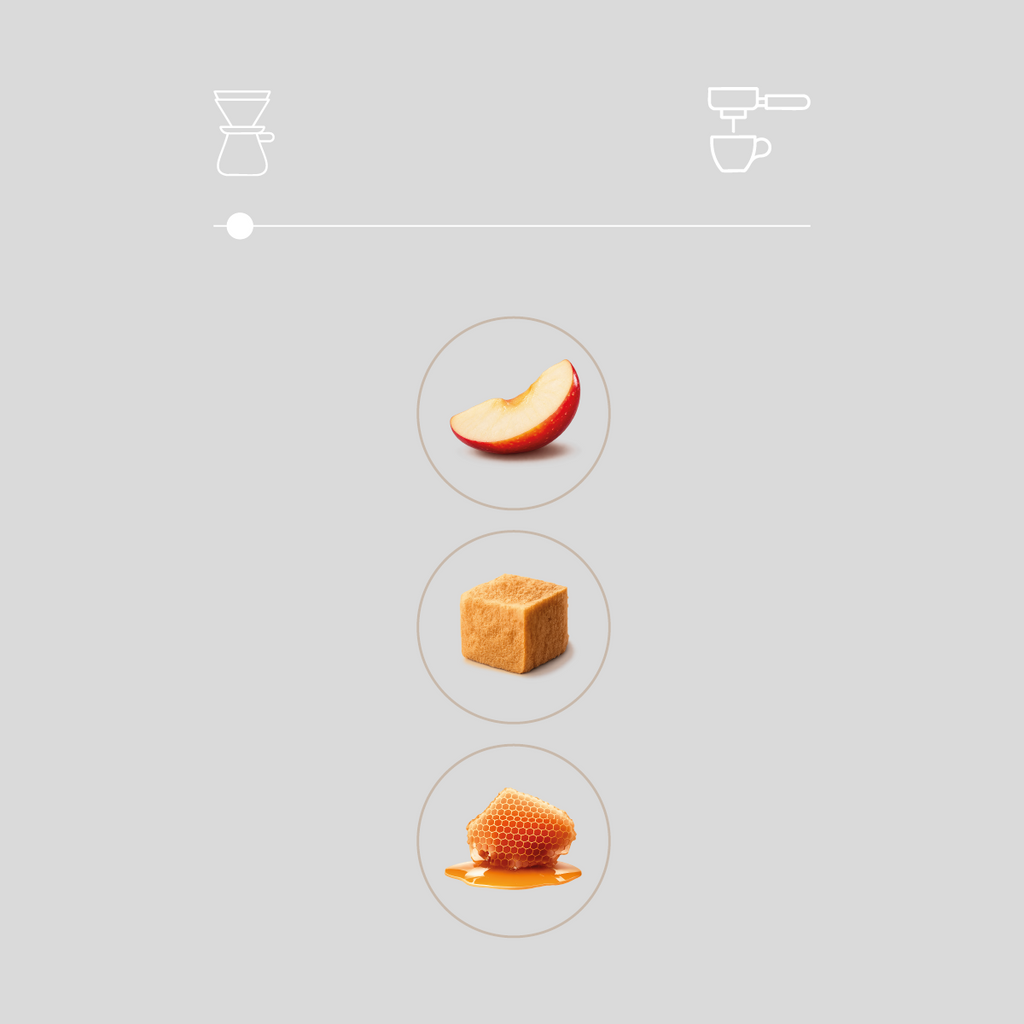 Discovery Filter Set
