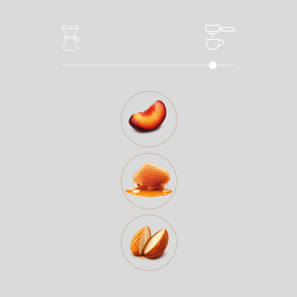 Espresso Tasting Set
