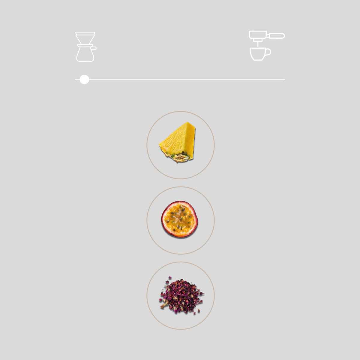 Discovery Filter Set