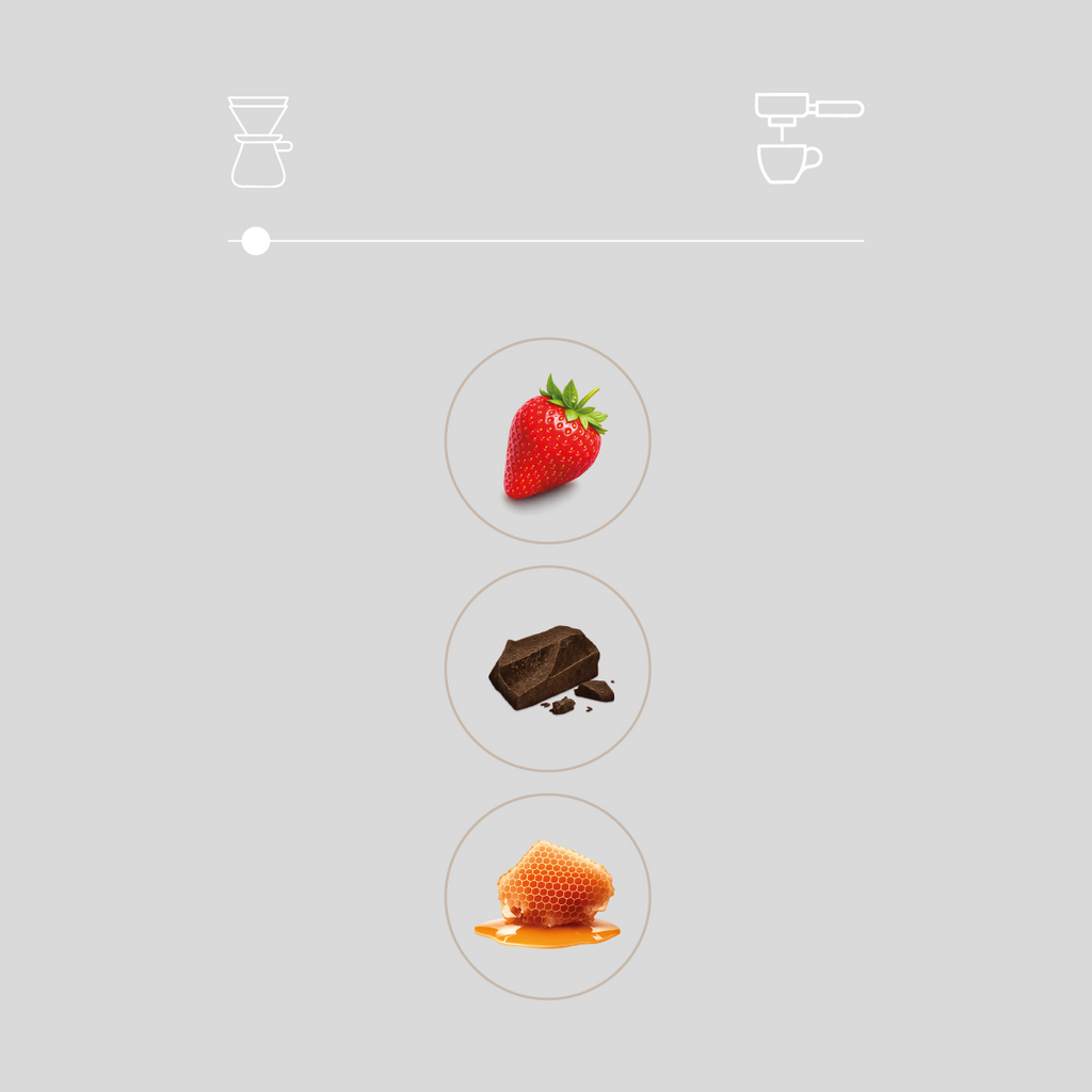 Discovery Filter Set